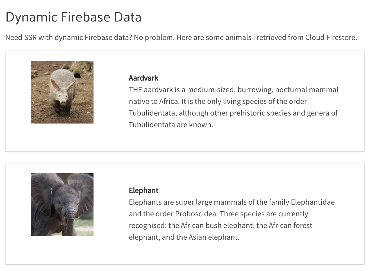 The prerendered feed of animals on static Firebase hosting