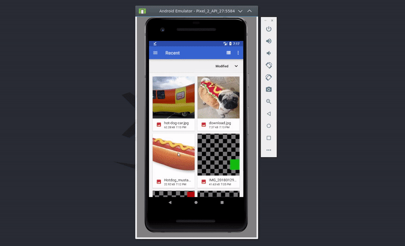 Demo of ionic app using google cloud vision for not hot dog app